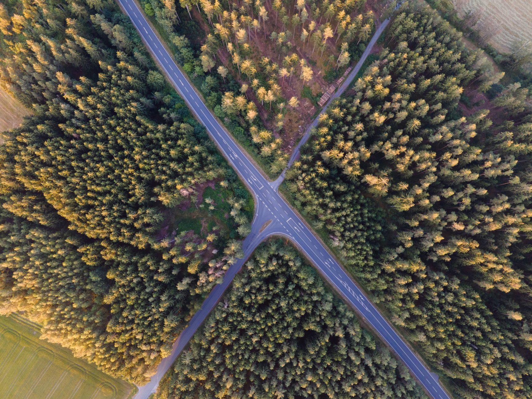 crossroads decision path (Photo: Nathanael Schmer / Pexels)