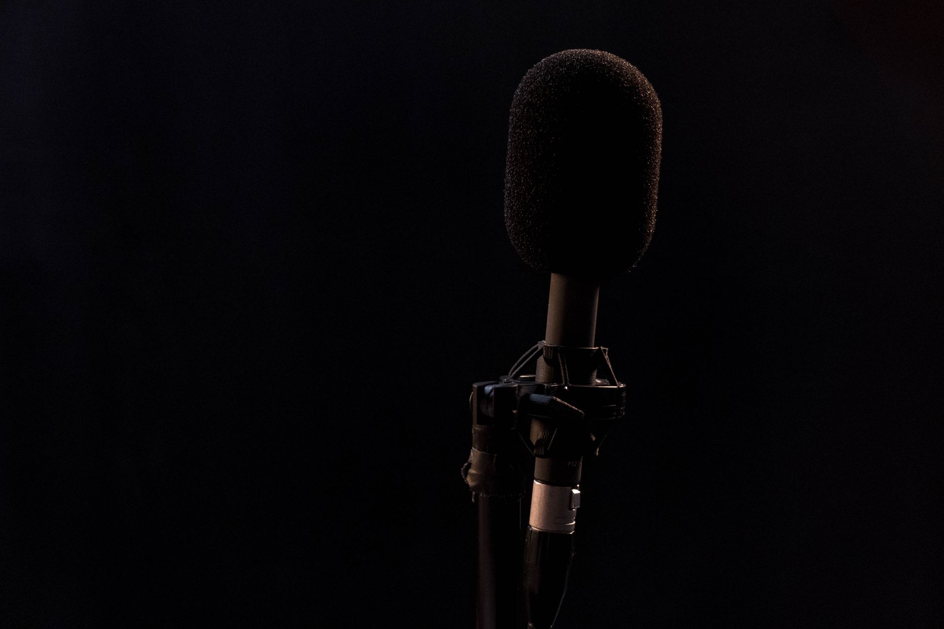 condenser microphone stand (Photo: cottonbro studio / Pexels)