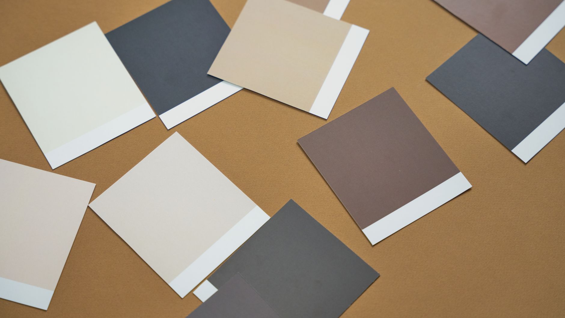 color palette design layout (Photo: cottonbro studio / Pexels)